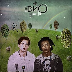 The Вйо - Зорі (Кожен з нас щось може)