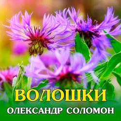 Олександр Соломон - Не плач, дівчино