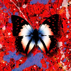 Ed Sheeran, Антитіла - 2step (feat. Антитіла)