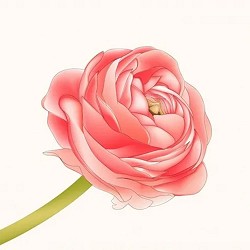 Volodymyr Dantes - Тільки ми