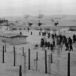 паліндром - Не дожив