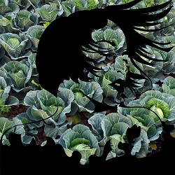 DIANAMusic - Я й не їв би, і не пив би