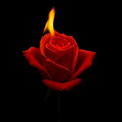 Ваня BARSIK - Рани на душі_Barsik