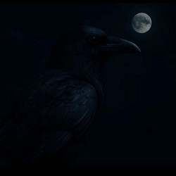 Ваня BARSIK - Ну що ж ти душу рвеш_Barsik