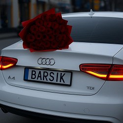 Ваня BARSIK - Вогонь свічі_Barsik