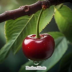 Ruslan Music - Вишенька