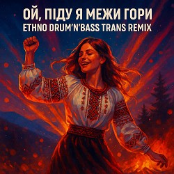 DJHaydamaka - Ой піду я мижи гори