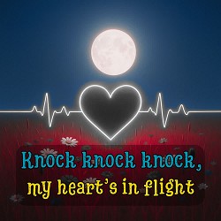 DIANAMusic, MusicLand - Knock Knock Knock, My Heart’s in Flight