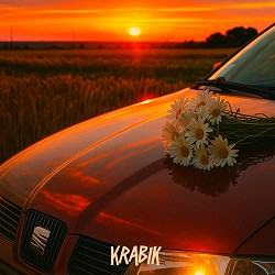 KRABIK - Ромашки