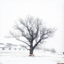 Сашко Дворецький, renie cares, DUDKO, Moann - нема