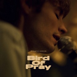 Ziferblat - Bird of Pray - Karaoke