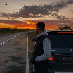 Maestro Barsik - Журавлі