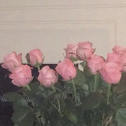 Hate Optimists, нестор - Антидепресант