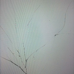 FREXAGON, Opiy, jockii druce - ЄВРОКРЕМ