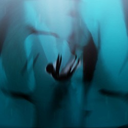 нестор - сни