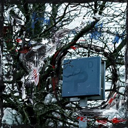 сліпток, нестор - Сніг