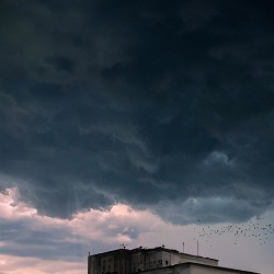 Фрай, STOSLIV - Все одно