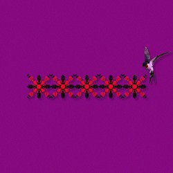 Chico, Qatoshi - Ластівки