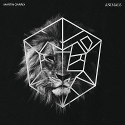 Martin Garrix - Animals