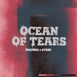 Imanbek, DVBBS - Ocean of Tears