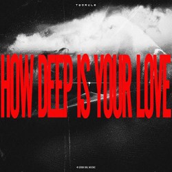 TwoRule - How Deep Is Your Love