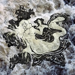 даніо-реріо - Шістнадцятий