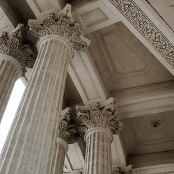 Moonflowly - Augenbling