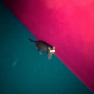 !!!, Meah Pace - Off The Grid